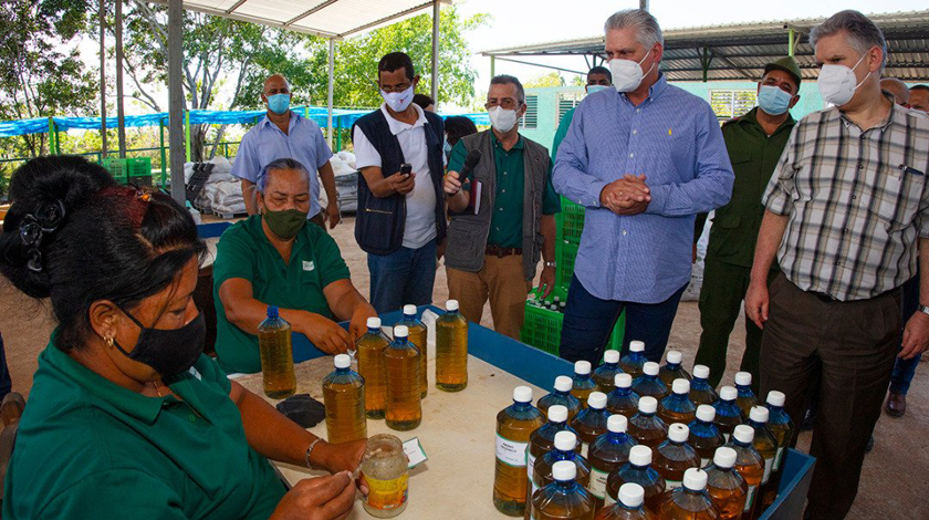 Apuesta Cuba por proyectos sustentables