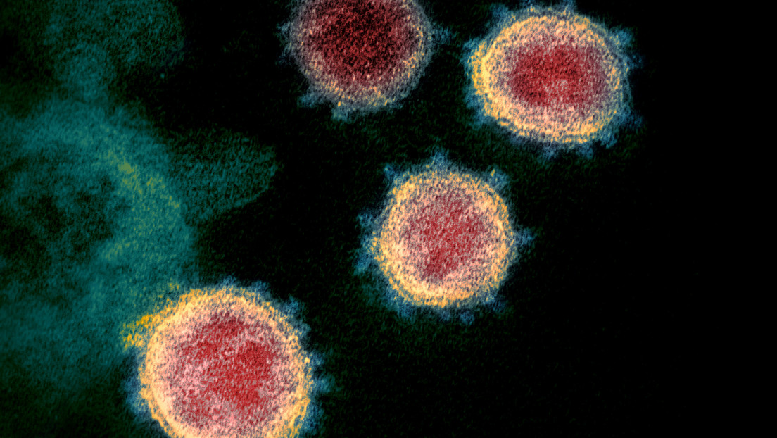 Descifran un ‘truco’ del coronavirus para infiltrarse en nuestro genoma