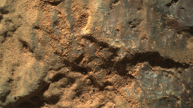 FOTOS: La NASA publica imágenes de varias rocas curiosas de Marte captadas por el róver Perseverance