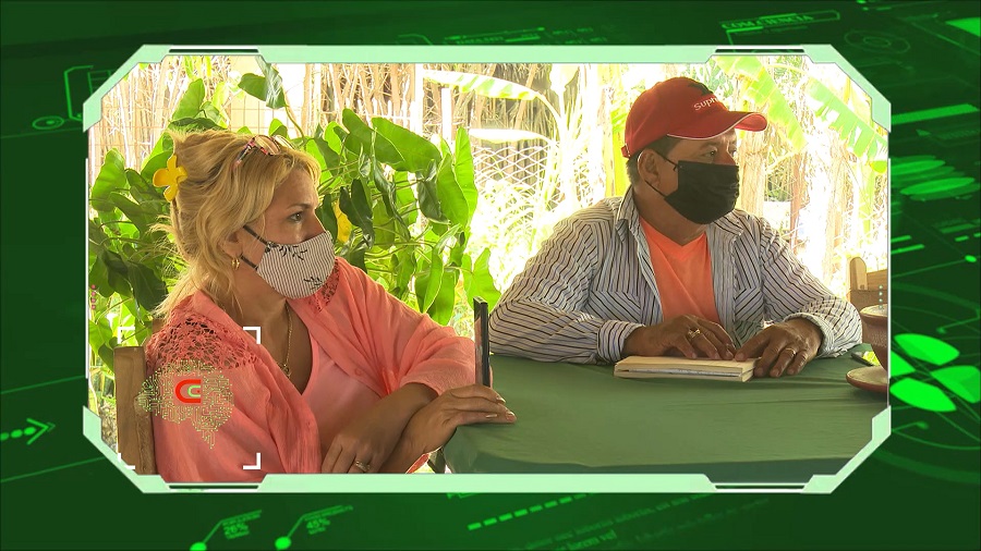 Com.Ciencia: finca El Bambú