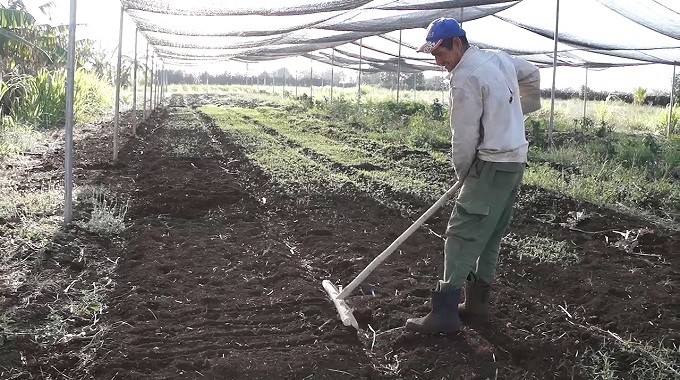 Debaten en Amancio medidas para impulsar el desarrollo agropecuario