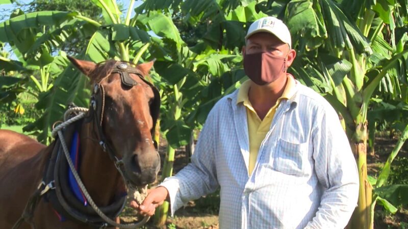 Desde el surco: finca La Larga