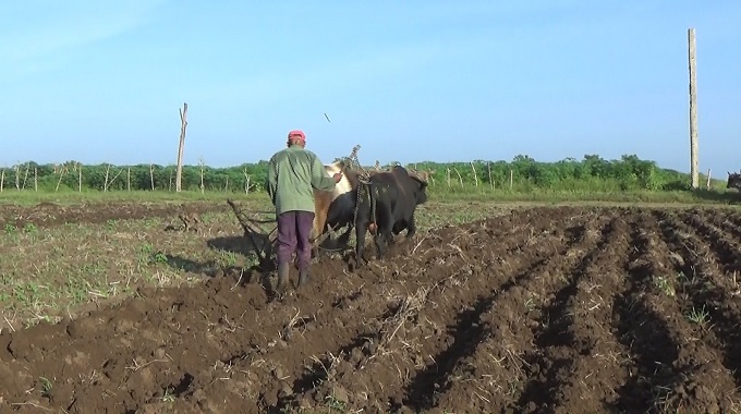 Lluvias benefician la producción de alimentos en Colombia