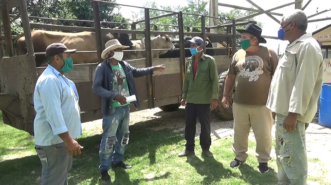 Materializan medidas para beneficiar la comercialización de productos agropecuarios en Colombia