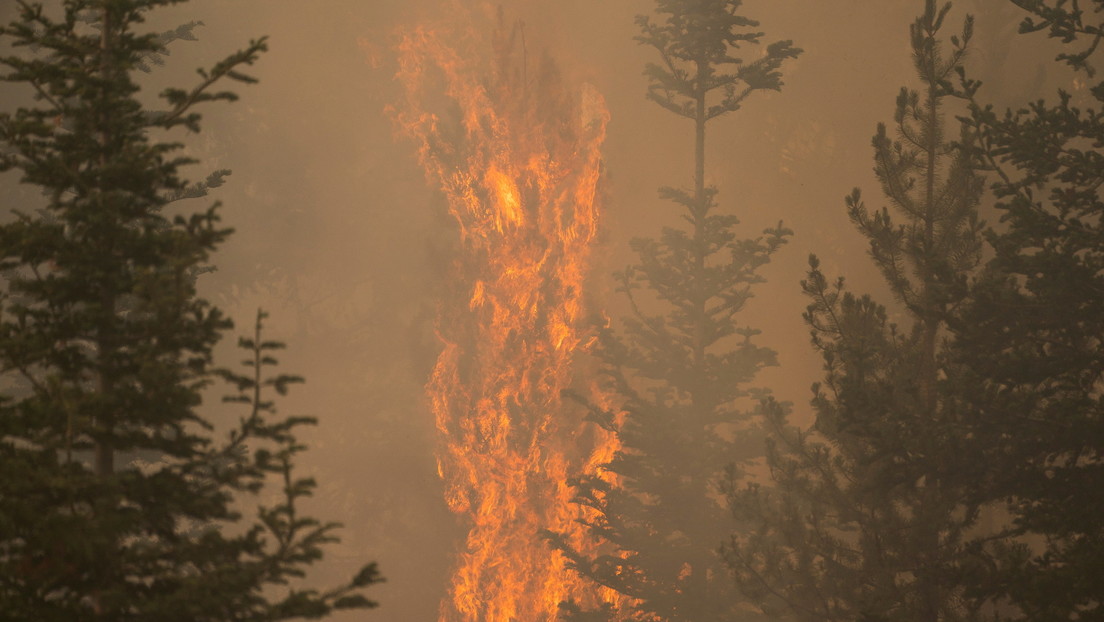 Incendio en EE.UU. alcanzó dimensiones tan grandes que incluso genera sus propias condiciones climáticas