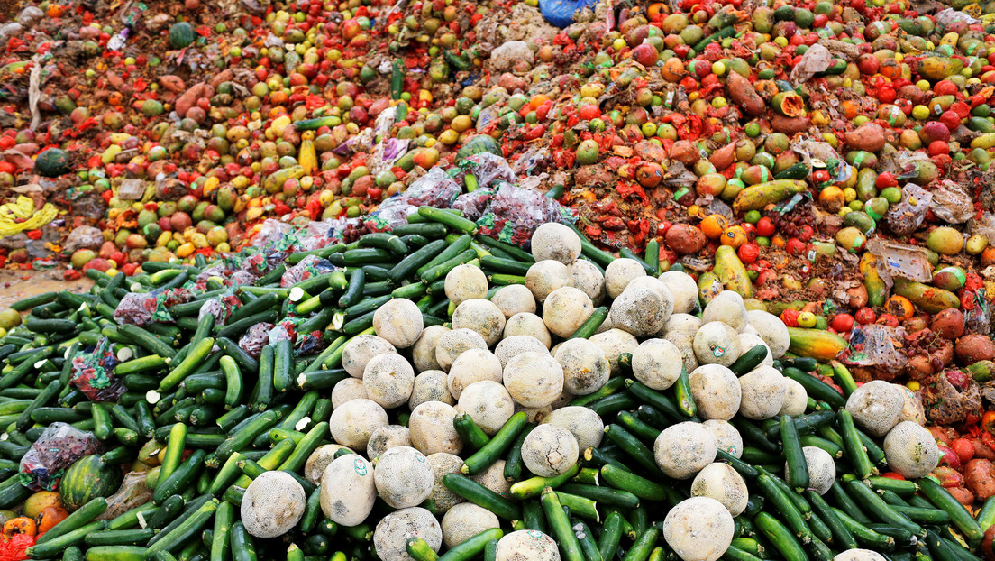 Reporte revela que casi el 40 % de los alimentos producidos a nivel global no llegan a ser consumidos