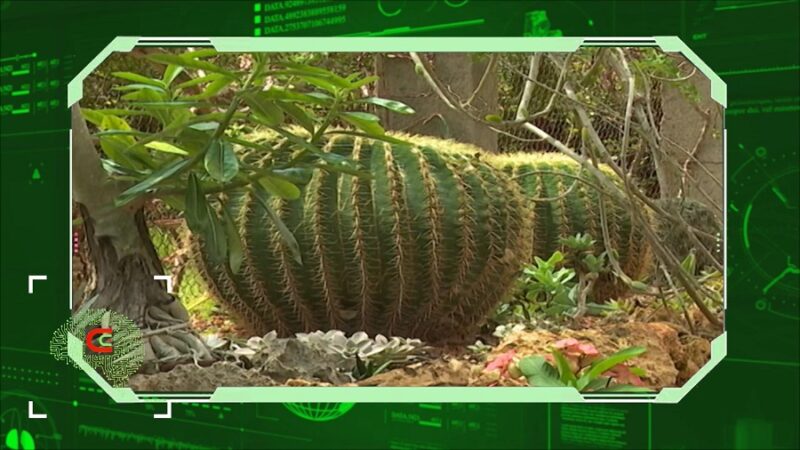 Com.Ciencia: gestión ambiental en el Jardín Botánico de Las Tunas