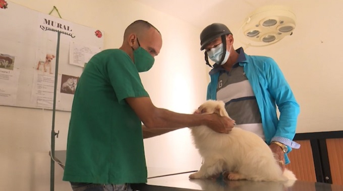 Mejoran condiciones de clínica veterinaria en Las Tunas