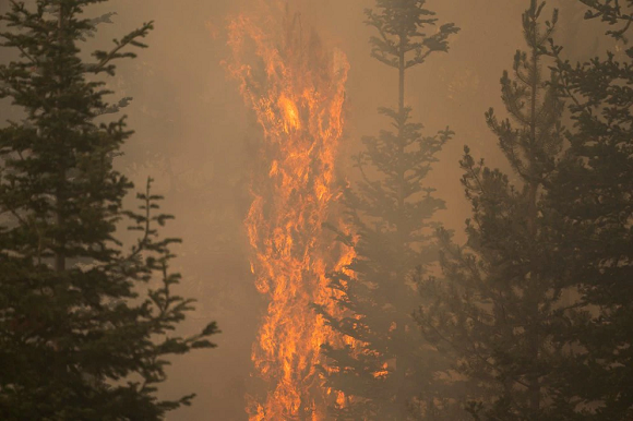 Incendio en Oregón, Estados Unidos, ha creado incluso su propio clima y cada vez es más difícil extinguirlo