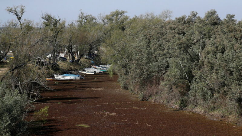 La sequía histórica del segundo río más importante de Suramérica permite cruzar caminando de Argentina a Paraguay (VIDEO)