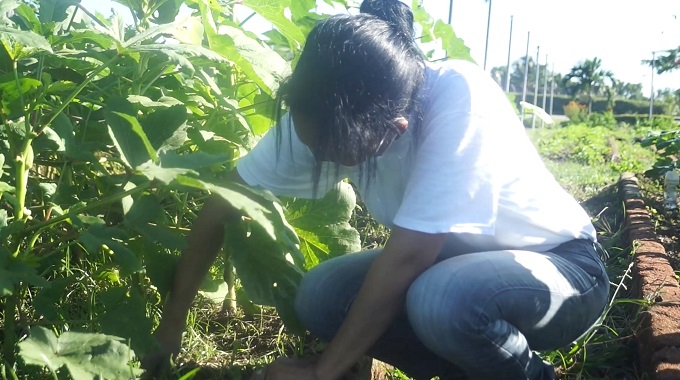 Trabajadores rinden homenaje al Comandante en Jefe en Las Tunas