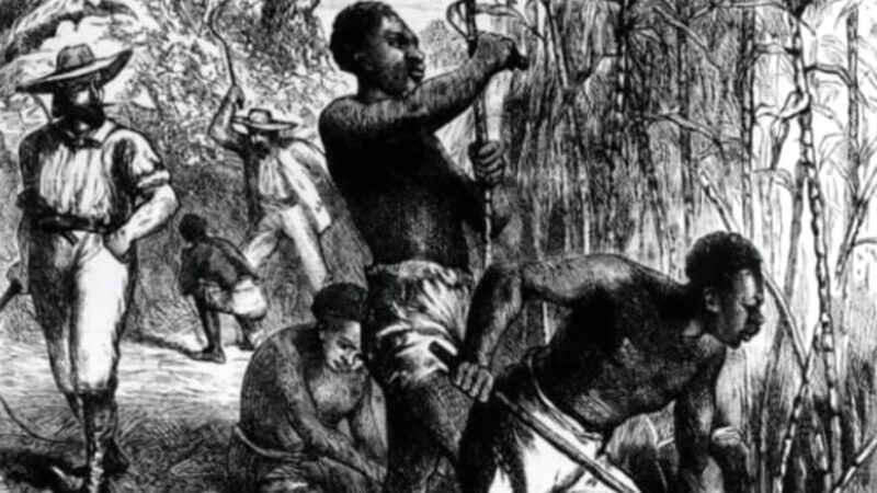 Día Internacional de los Afrodescendientes: reflexiones sobre nuestras raíces y cultura africana
