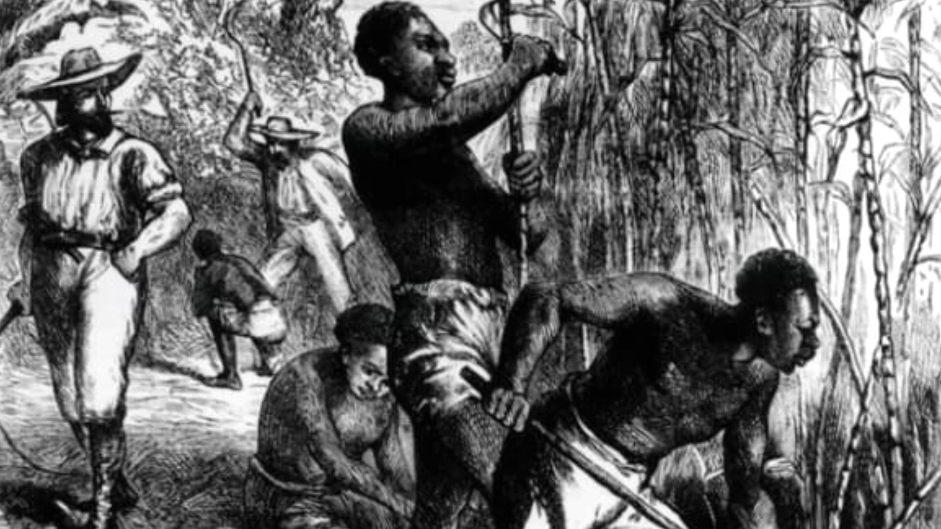 Día Internacional de los Afrodescendientes: reflexiones sobre nuestras raíces y cultura africana