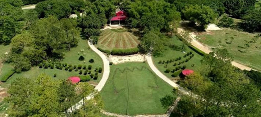 Reabre este domingo Jardín Botánico Nacional de Cuba