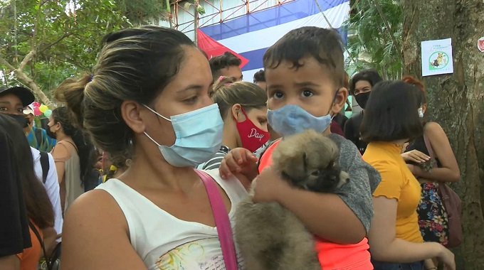 Realizan en Las Tunas feria de adopción de animales