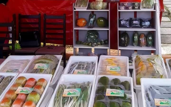 Expondrá Las Tunas lo mejor de sus productos y servicios en primera Feria Provincial de Invierno