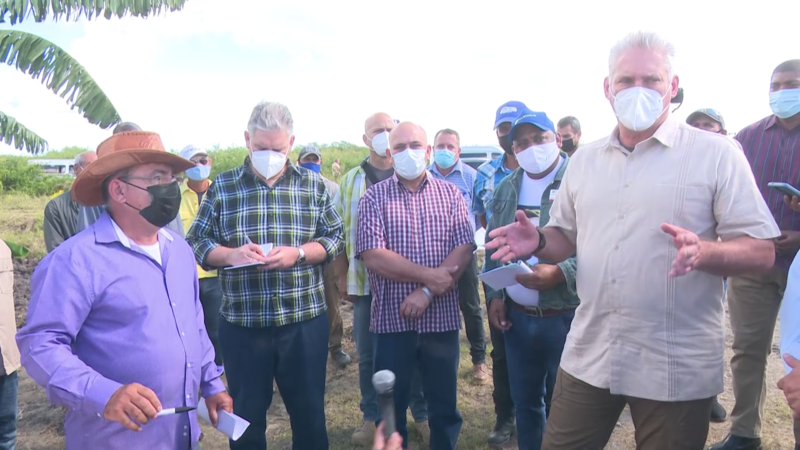 Intercambia Miguel Díaz Canel con productores de la provincia de Las Tunas