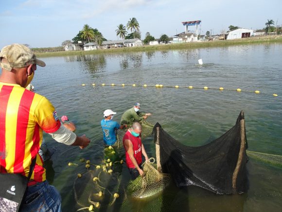 La ruta del pescado busca la luz y solo ve el túnel