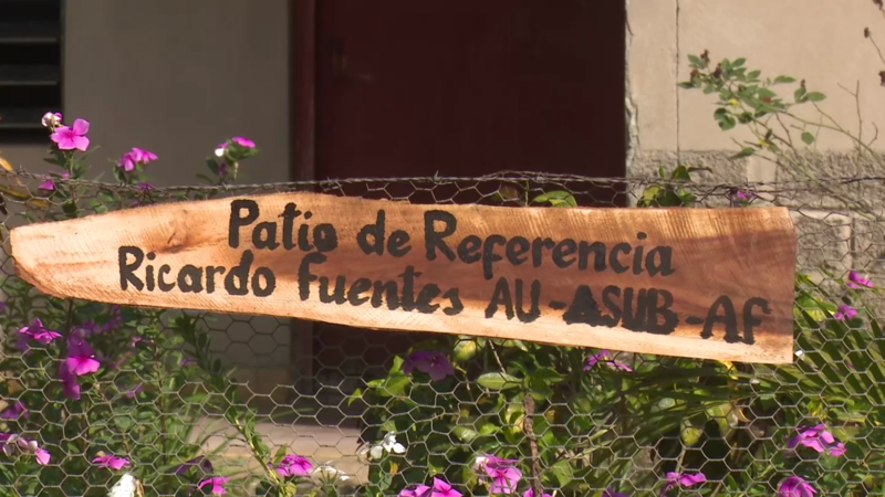 Se erige Vista Alegre como líder en el movimiento de la Agricultura urbana y familiar en Las Tunas