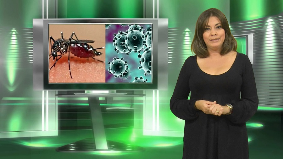 Alertar OPS sobre afectaciones del dengue en la región