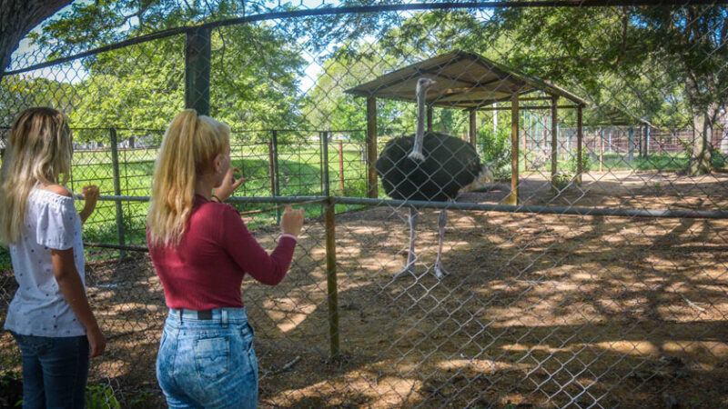 Las Tunas: Del letargo hacia un Parque Zoológico Moderno