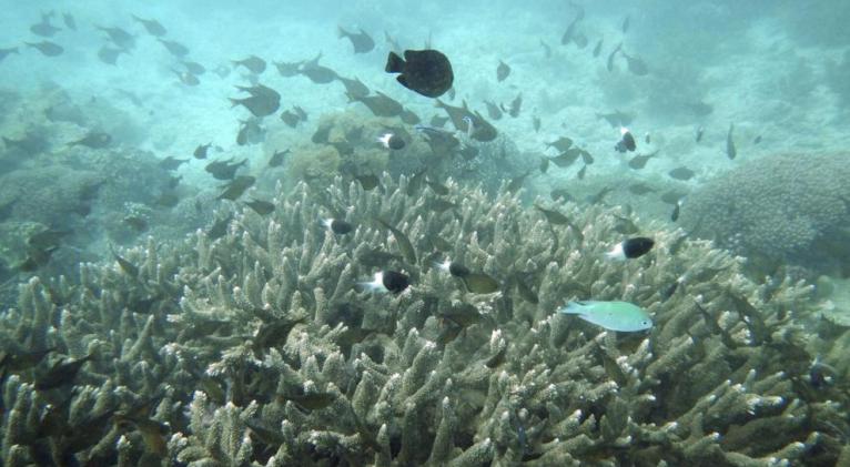 Cambio climatico Cambio climático: Puntos de inflexión sin retorno a la vista