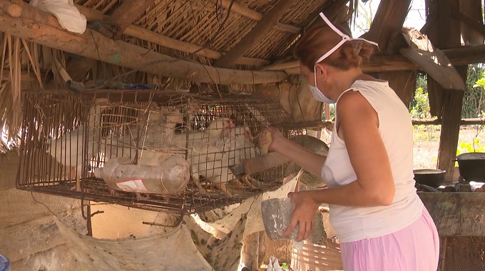 Celebran en Las Tunas acto nacional por el Día de la Mujer Rural