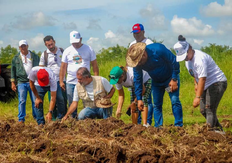 Cuba responde a la restauración de suelos degradables (+Fotos)