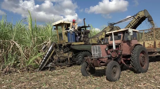 Cooperativistas de #PuertoPadre avanzan hacia la meta del milón de arrobas de caña