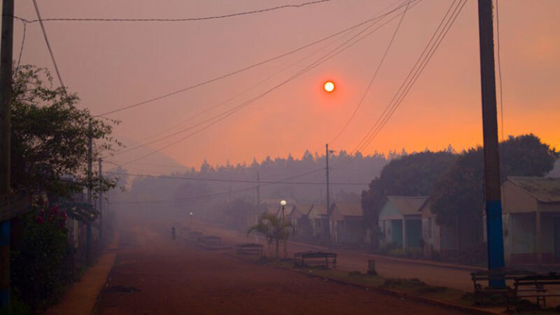 Combaten incendio forestal en Pinares de Mayarí (+Fotos y Video)