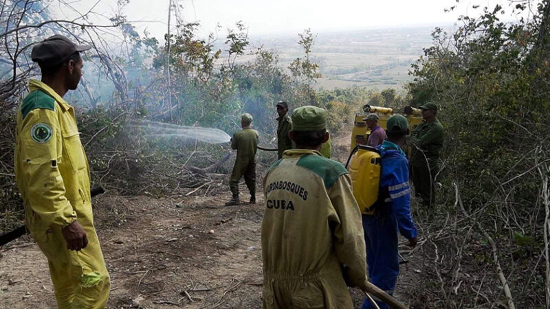 Controlan incendio forestal en Pinar del Río