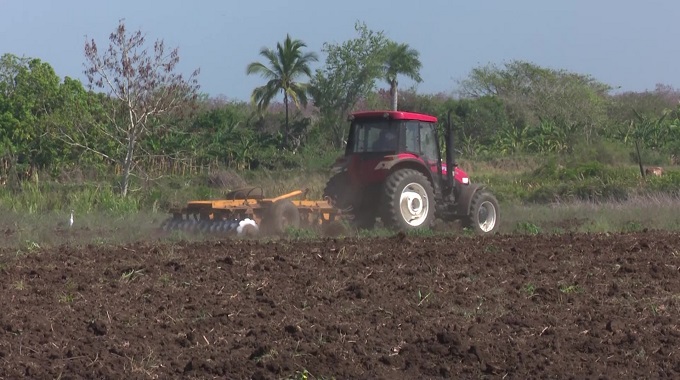 Evalúan deficiencias en la producción de alimentos en Las Tunas