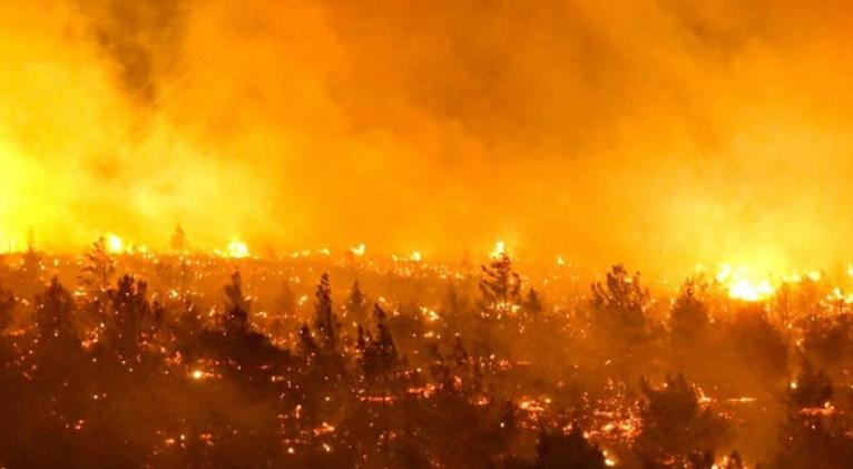 Lo que sucede en Chile es una alerta más del cambio climático