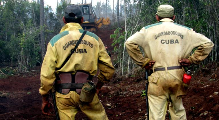 Continúan acciones para sofocar incendio en zona montañosa de Holguín