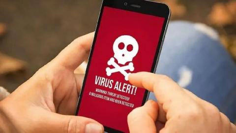 Alertan sobre «Virus del caballo» en WhatsApp