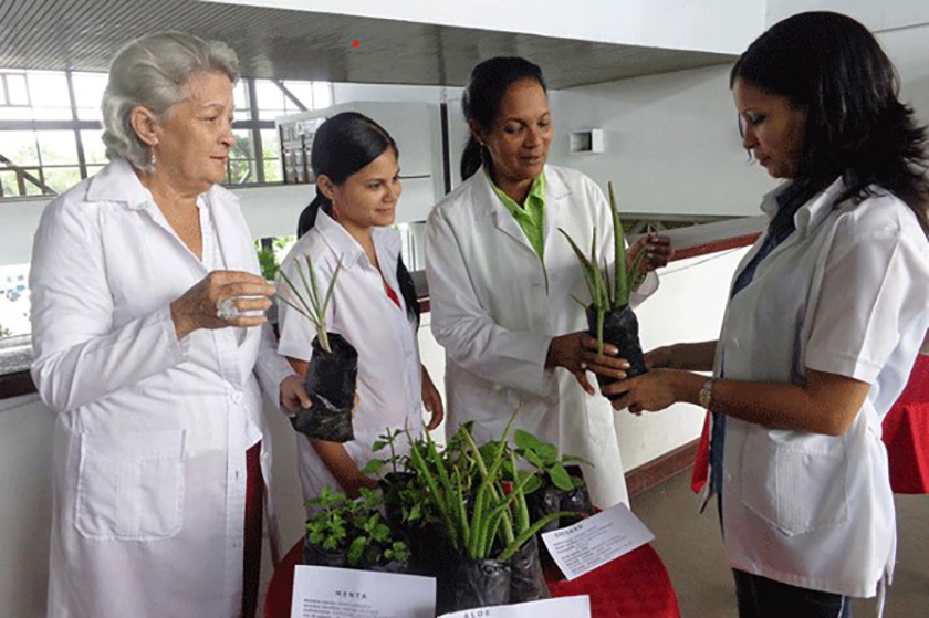 Medicina natural continúa afianzándose en Cuba