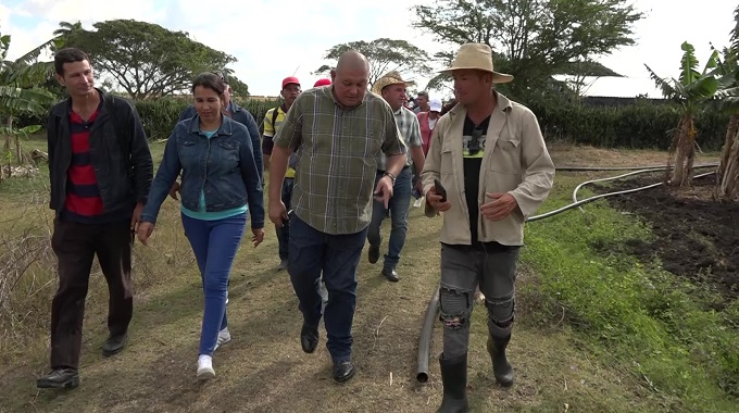 Evalúan estrategia para impulsar producción agrícola en Puerto Padre