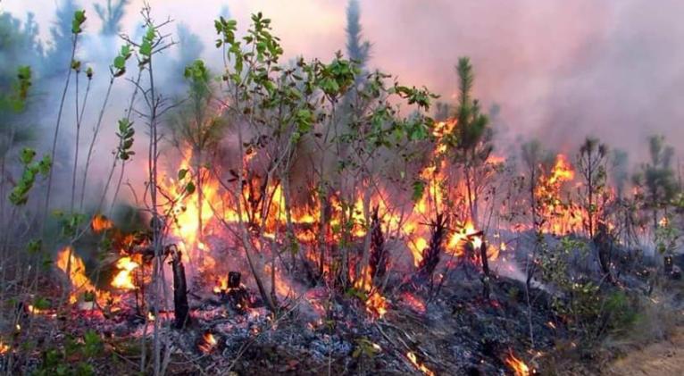 Continúa combate a incendio forestal en Pinar del Río