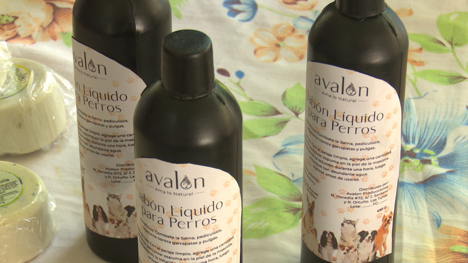 Proyecto Avalon