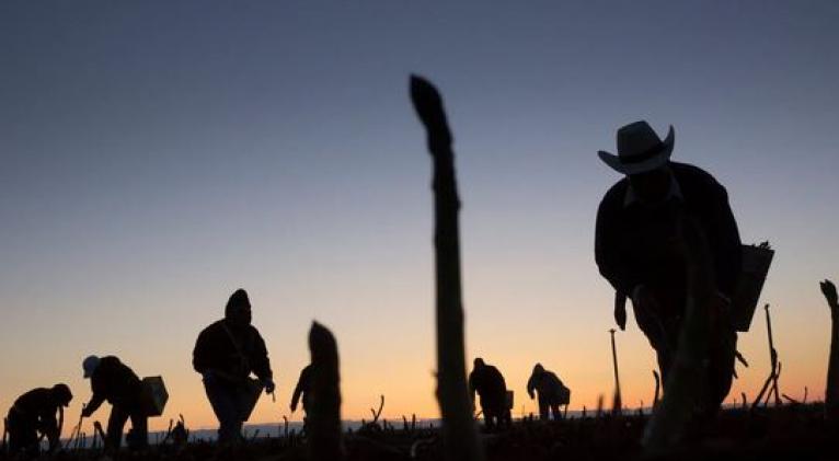 Apartheid en EE.UU., la nueva realidad del trabajador migrante