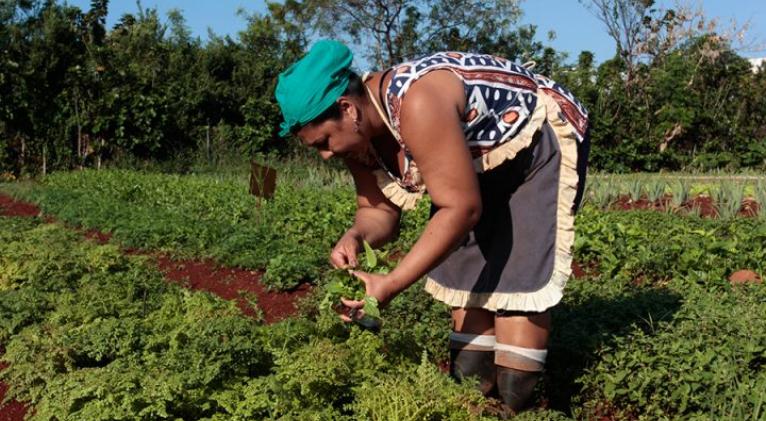 FAO promueve en Cuba empoderamiento de mujeres