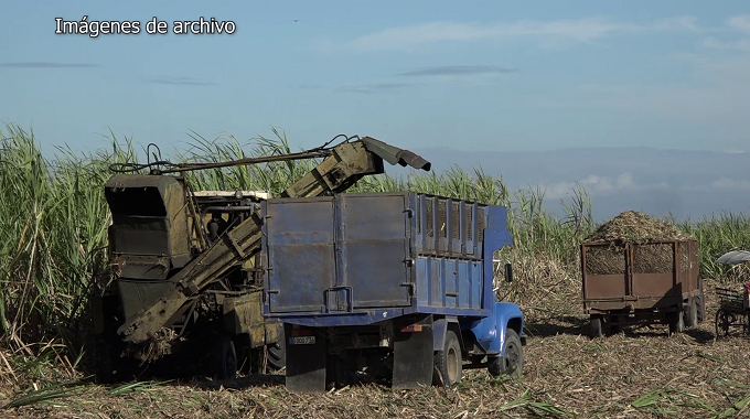 Cooperativistas puertopadrenses saludan el Día del Campesino