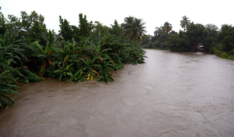Plantaciones agrícolas, lo más afectado por lluvias en Las Tunas