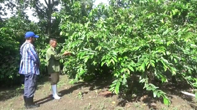 Campesinos de Colombia apuestan por reducir afectaciones y producir más alimentos