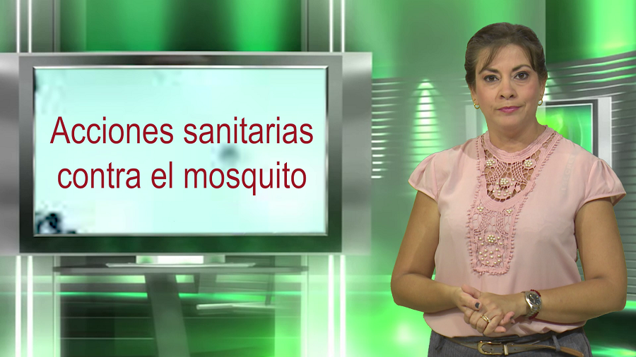 Extienden acciones sanitarias contra el mosquito en Las Tunas