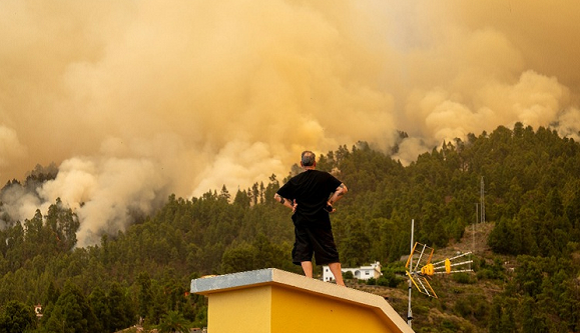 Nueva ola de calor en el hemisferio norte: Alertas sanitarias, altas temperaturas y devastadores incendios