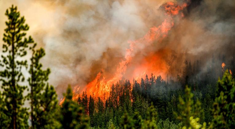 Miles de personas son evacuadas por incendios forestales en Canadá