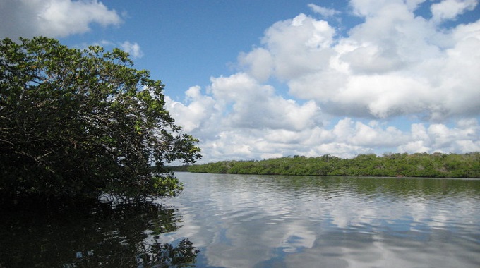 La Isleta de Manatí, un paisaje paraíso para la conservación de especies en Las Tunas