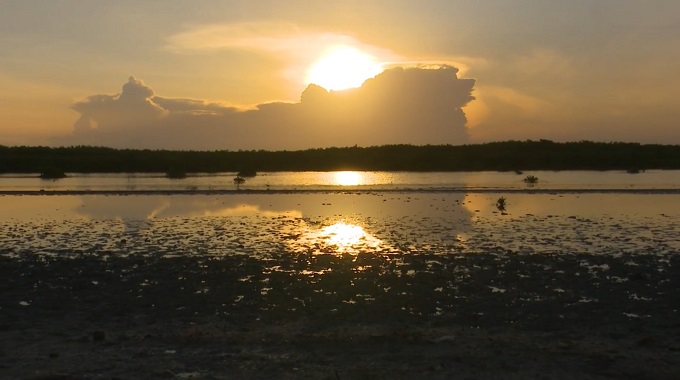 Malagueta, refugio de la fauna silvestre en Puerto Padre