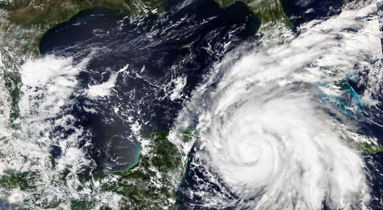 Estado de Florida se prepara para llegada de tormenta Idalia a EEUU